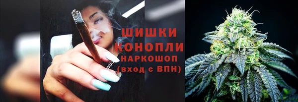 ПСИЛОЦИБИНОВЫЕ ГРИБЫ Майский