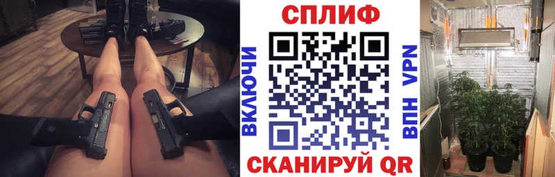 купить наркоту  Королёв  Марихуана MAZAR 